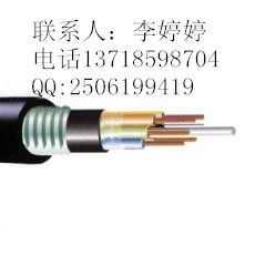 GYTA 36B1 室外單模層絞鋁鎧光纜 規(guī)格詳解與市場價格分析